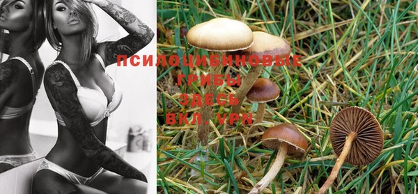 MDMA Premium VHQ Киреевск