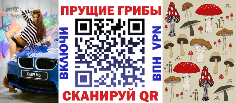 как найти закладки  Киренск  Галлюциногенные грибы мицелий 